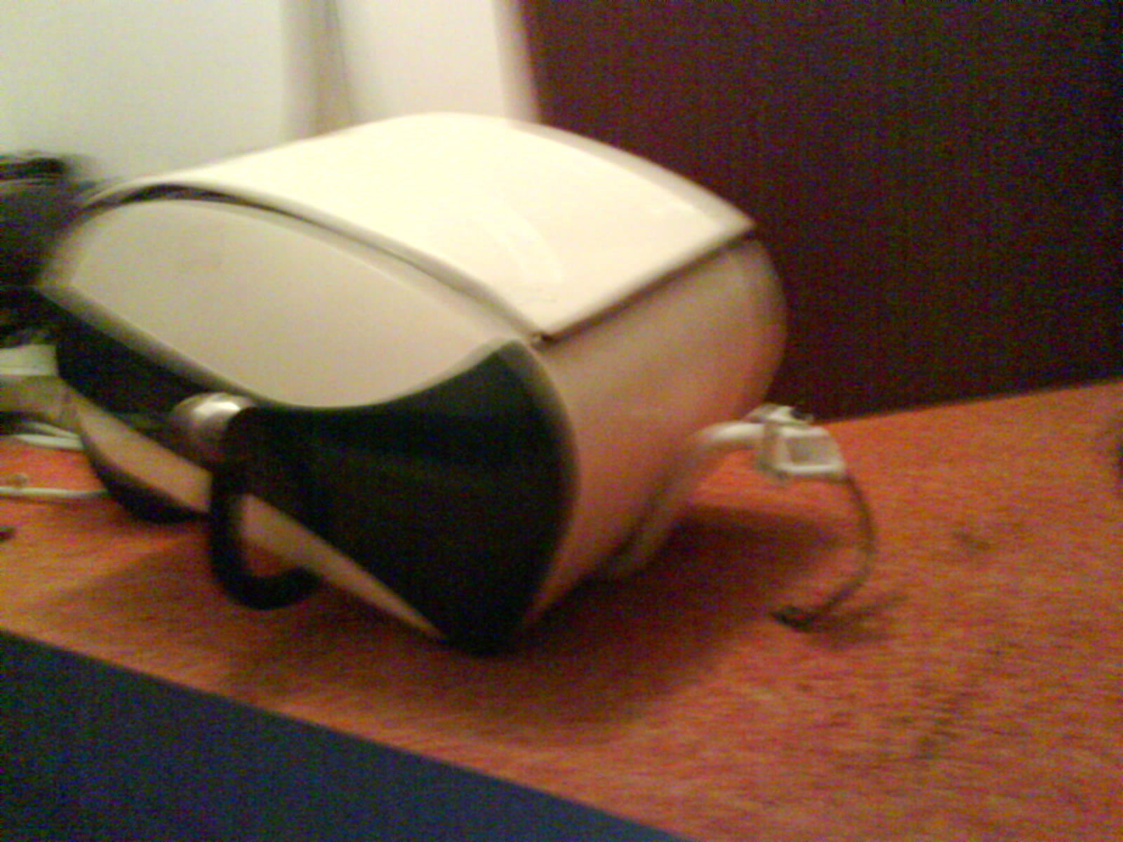 pav biel3.JPG